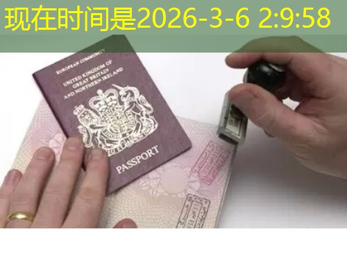 职业移民中介公司：如何挑到“真把客户当回事”的那一家？