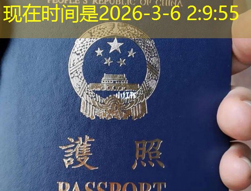 从伊斯坦布尔到安卡拉：一张土耳其绿卡如何改写人生剧本？